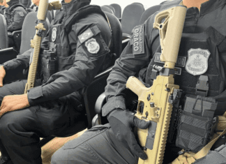 Grupo Usava Documentos Falsos Para Comprar Armas E Abastecer Criminosos, Aponta Polícia