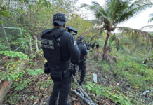 Faccionado Que Distribuía Fuzis Para Estados Do Nordeste é Preso Na Divisa Da Bahia Com Sergipe