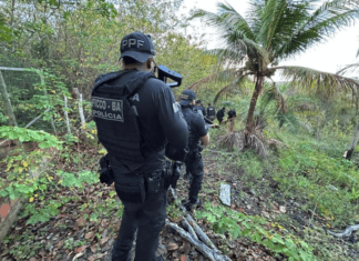 Faccionado Que Distribuía Fuzis Para Estados Do Nordeste é Preso Na Divisa Da Bahia Com Sergipe
