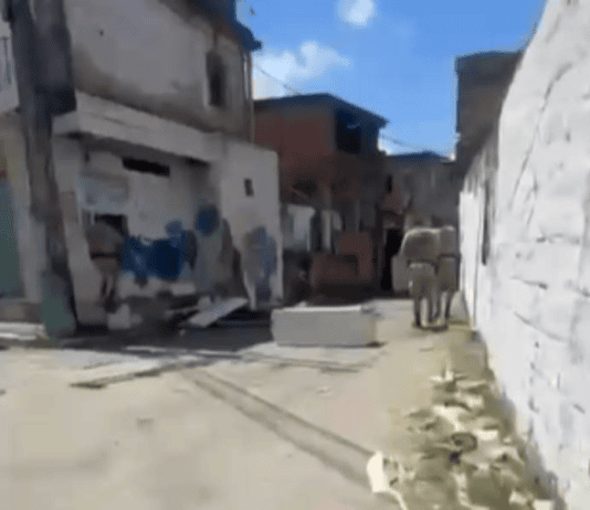 Vídeo Mostra Policiais Recebidos A Tiros Em Bairro De Salvador