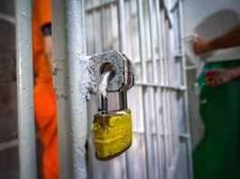 Fiscalização Sanitária Em Presídios Entra No Radar Da Anvisa; Entenda