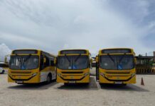 Ônibus Novos Já Estão Nas Ruas De Salvador; Veja Se Sua Linha Está Na Lista
