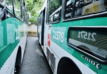 Salvador Entrega Primeiro Lote Dos Novos ônibus Com Ar-condicionado Neste Sábado