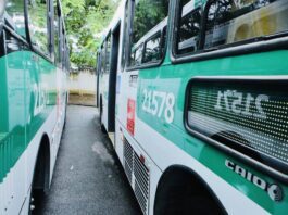 Salvador Entrega Primeiro Lote Dos Novos ônibus Com Ar-condicionado Neste Sábado