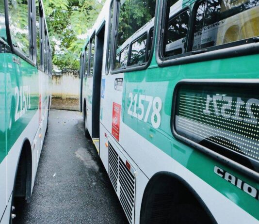 Salvador Entrega Primeiro Lote Dos Novos ônibus Com Ar-condicionado Neste Sábado