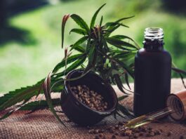 Para associações, normas ainda deixam pontos em aberto sobre cannabis