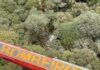 Corpos de vítimas de queda de helicóptero seguem para perícia em SC