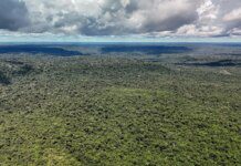 Fazenda autoriza crédito de US$ 1 bilhão do BID para Eco Invest Brasil