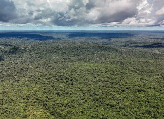 Fazenda autoriza crédito de US$ 1 bilhão do BID para Eco Invest Brasil