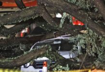 Chuvas fortes levam Defesa Civil a emitir mais de 50 alertas em SP