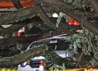 Chuvas fortes levam Defesa Civil a emitir mais de 50 alertas em SP