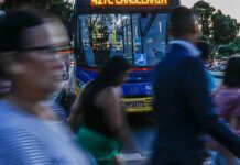 Em 30 anos, obesidade triplica no país e atinge 1/4 da população