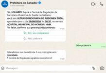 Prefeitura De Salvador Passa A Confirmar Consultas E Procedimentos De Saúde Pelo WhatsApp