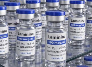 Testes clínicos fase 1 da polilaminina começam este mês