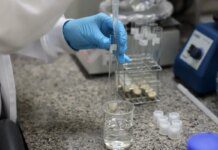 Doença de Newcastle: protocolos sanitários são cumpridos em SC