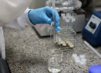 Doença de Newcastle: protocolos sanitários são cumpridos em SC