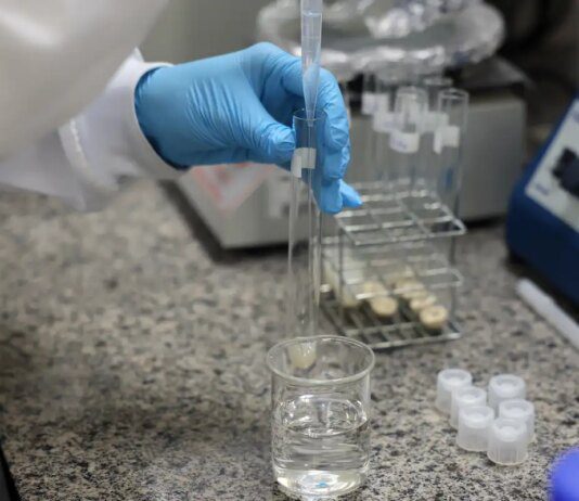 Doença de Newcastle: protocolos sanitários são cumpridos em SC