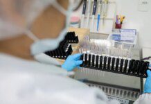 Malária: Anvisa autoriza teste em humanos de vacina 100% brasileira