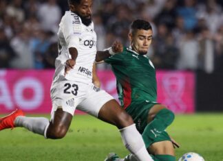 Brasileirão: Palmeiras fica no zero com o Santos e Flamengo agradece Brasileirão: Palmeiras fica no zero com o Santos e Flamengo agradece