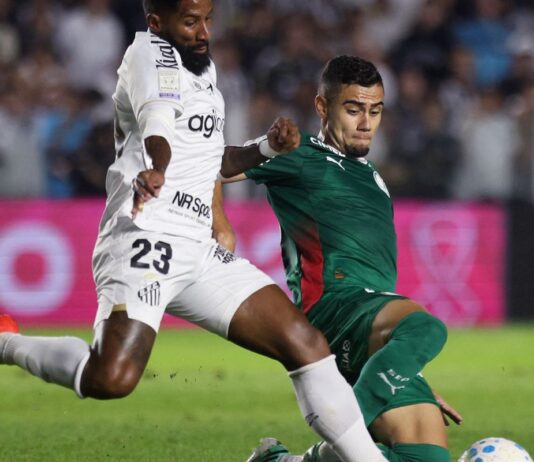 Brasileirão: Palmeiras fica no zero com o Santos e Flamengo agradece Brasileirão: Palmeiras fica no zero com o Santos e Flamengo agradece