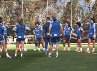 Estreante, Cruzeiro será 15º brasileiro na Libertadores Feminina Estreante, Cruzeiro será 15º brasileiro na Libertadores Feminina