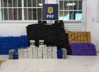 Mais De 520 Kg De Drogas São Apreendidos Na BR-116 Em Vitória Da Conquista; Entenda