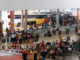 Procura Por Passagens Gratuitas Para Votar Na Bahia Já Soma 46 Mil Bilhetes