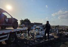 Polícia Encontra Desmanche Clandestino Com Carros Avaliados Em R$ 420 Mil Na Bahia