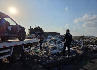 Polícia Encontra Desmanche Clandestino Com Carros Avaliados Em R$ 420 Mil Na Bahia