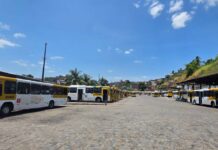 MP Eleitoral Encontra 217 ônibus Parados Em Garagens E Cobra Regularização Em Salvador