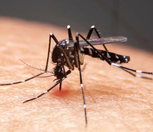 Mudanças climáticas já causam aumento de doenças infecciosas no país