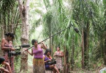 Saiba as propostas dos presidenciáveis para Amazônia e indígenas