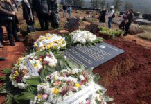 Especialistas orientam como conversar com crianças sobre a morte