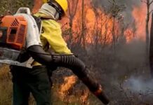 Veja os planos de Flávio e Lula para as cidades e manejo do fogo
