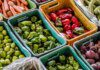 Dia Mundial da Alimentação: inovação pode garantir nutrição no futuro