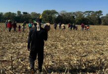 Aldeias Guarani Kaiowá vão receber proteção da Força Nacional