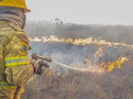 Forças federais e estaduais trabalham contra queimadas no Amazonas